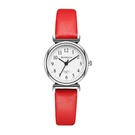 NHSS1388896-red