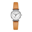NHSS1388901-brown