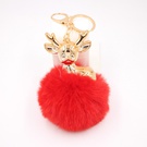 NHZUG2139315-Scarlet-Golden-keychain
