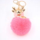 NHZUG2139319-watermelon-red-Golden-keychain