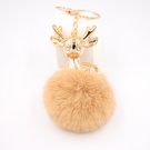 NHZUG2139329-Don39t-pick-color-mixes-Golden-keychain