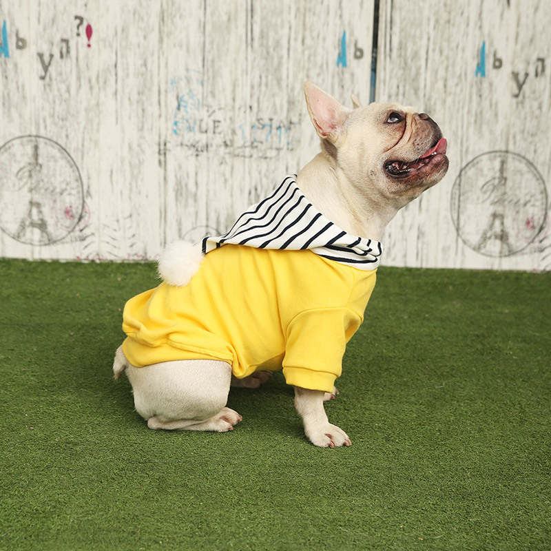 Nueva ropa para perros pequeños de otoño / invierno ropa para mascotas con capucha bichon corgi ropa para mascotas al por mayor NHZHX438144