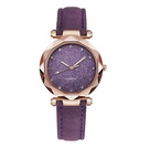 NHSY1453233-purple