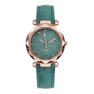 NHSY1453234-green