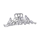 NHQIY1818279-Irregular-silver