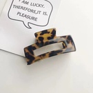 NHQIY1818377-Square-coffee-tortoise-shell