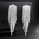 NHHS1895099-Silver-ERS-J4040