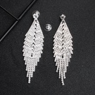 NHHS1895103-Silver-ERS-J4042