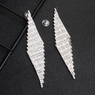 NHHS1895109-Silver-ERS-J4045